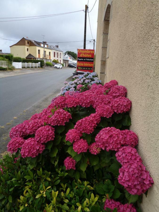 مبيت وإفطار Saint-Martin-sur-Oust Popote Et Polochon المظهر الخارجي الصورة